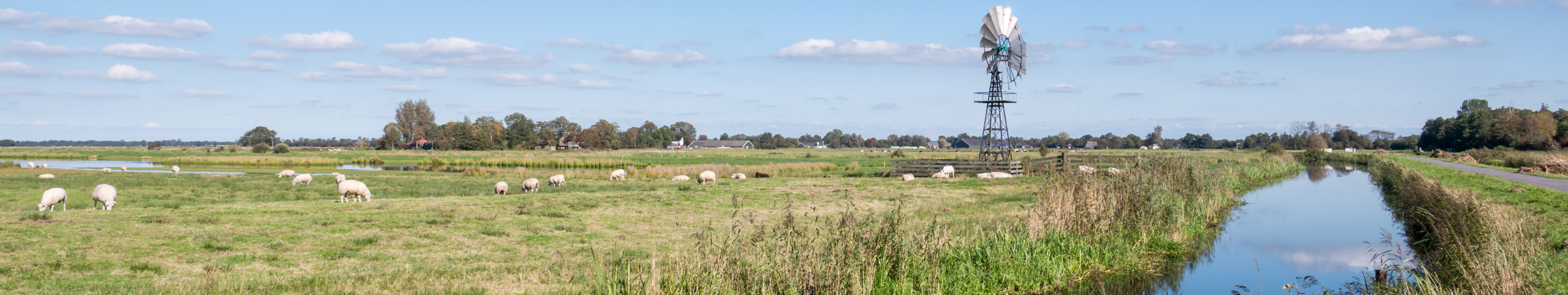 Banner Friese meren - Friesland - Nederland